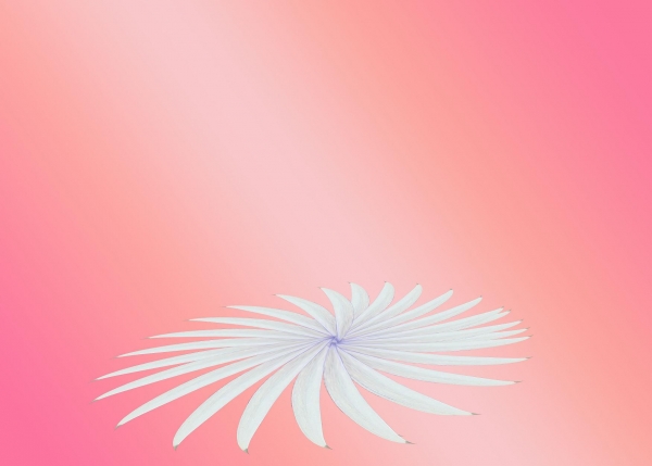 Creation of my flower: Step 3